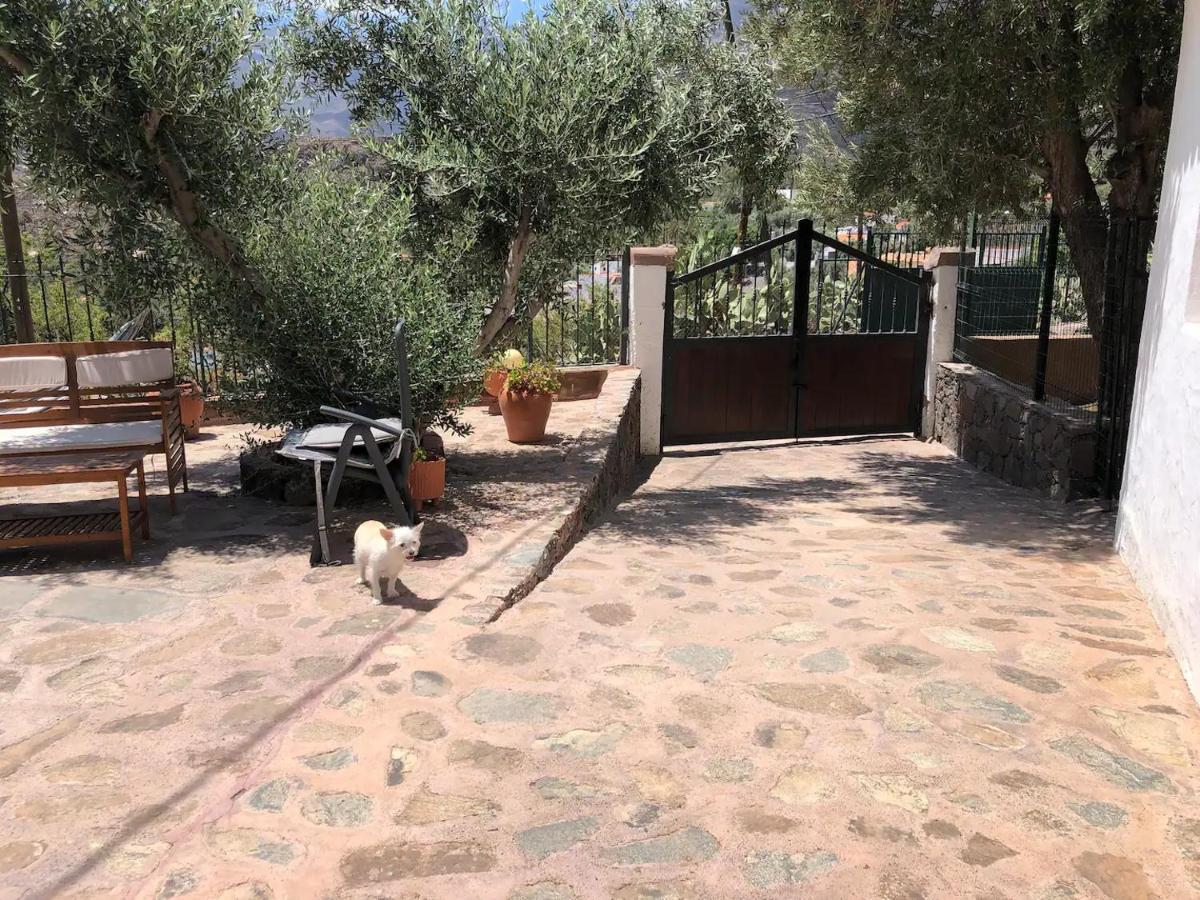 La Casa Vieja De La Montana Villa Santa Lucia Екстериор снимка